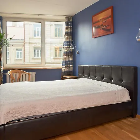 Spacious Central Apartments Vilnius Exterior photo