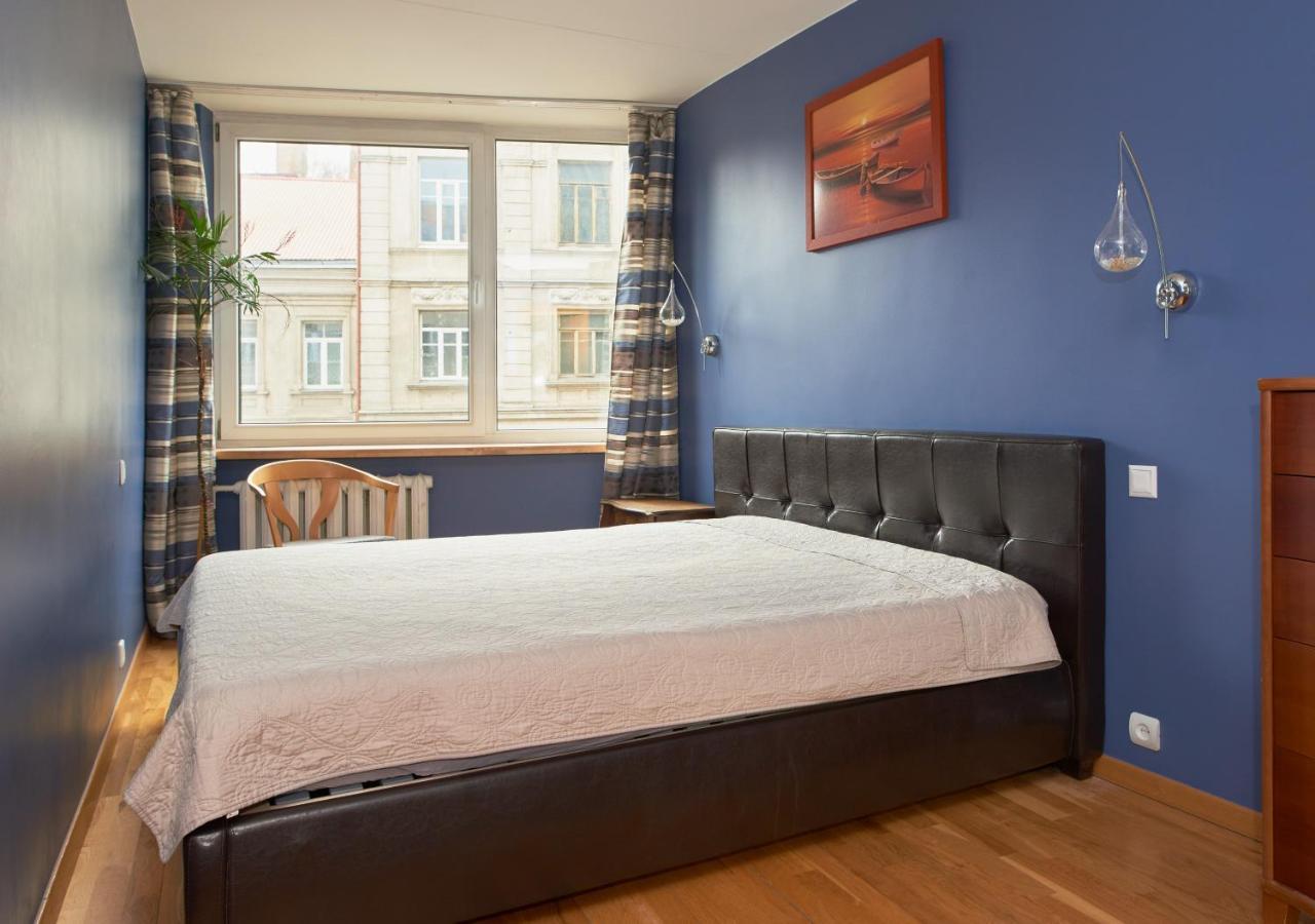 Spacious Vilnius